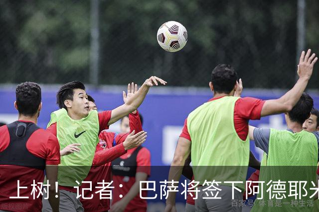 上树！记者：巴萨将签下阿德耶米，弗里克亲自致电说服球员加盟