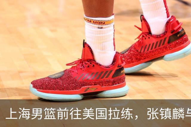 上海男篮前往美国拉练，张镇麟与古德温共同备战新赛季