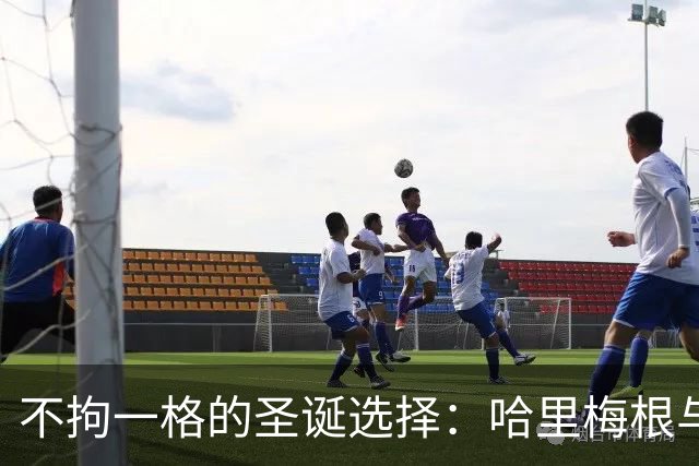 不拘一格的圣诞选择：哈里梅根与查尔斯国王各自的节日安排