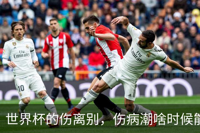 世界杯的伤离别，伤病潮啥时候能退散呢？