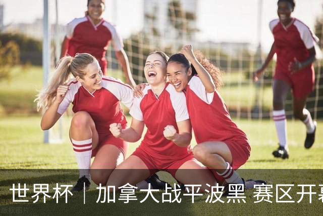 世界杯｜加拿大战平波黑 赛区开幕式表演“翻车”