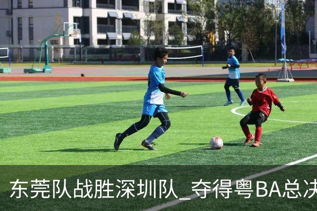 东莞队战胜深圳队 夺得粤BA总决赛冠军