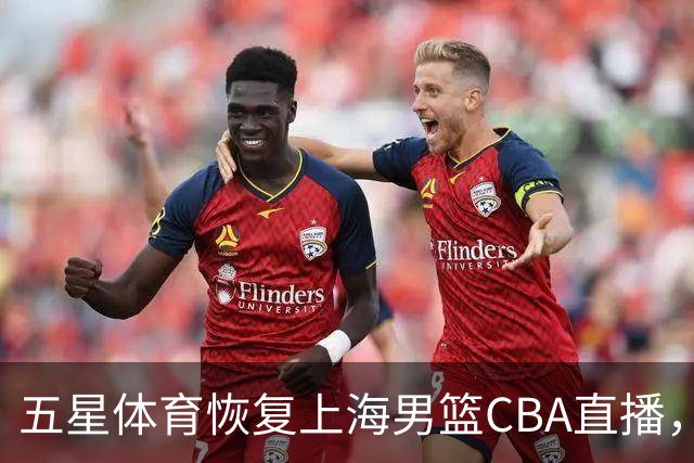五星体育恢复上海男篮CBA直播，传统大屏幕依然不可或缺