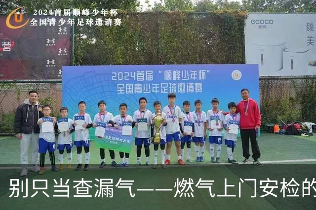 别只当查漏气——燃气上门安检的三大要点