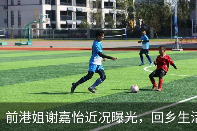 前港姐谢嘉怡近况曝光，回乡生活平淡自在