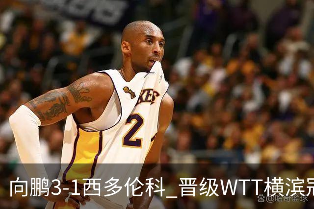 向鹏3-1西多伦科 晋级WTT横滨冠军赛16强
