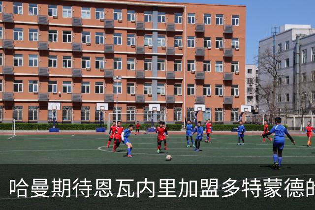 哈曼期待恩瓦内里加盟多特蒙德的精彩表现