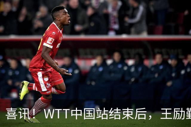 喜讯！WTT中国站结束后，王励勤传达重要信息，樊振东或将回归