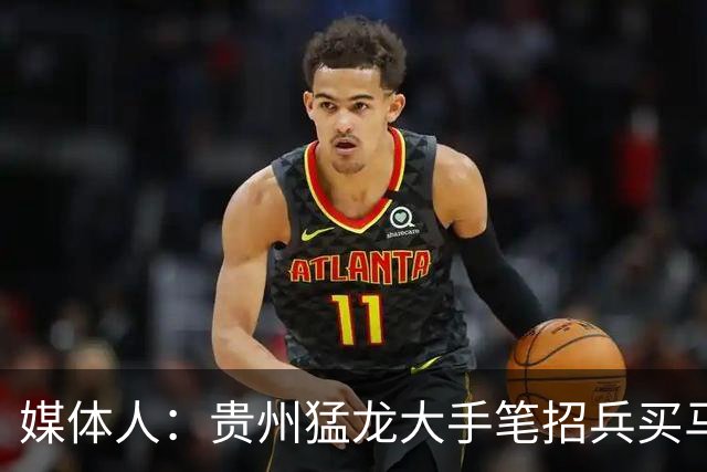 媒体人：贵州猛龙大手笔招兵买马升级阵容 恢复升降级后值得期待