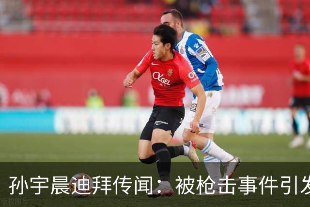 孙宇晨迪拜传闻：被枪击事件引发热议