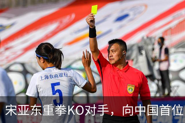 宋亚东重拳KO对手，向中国首位UFC男冠军迈进