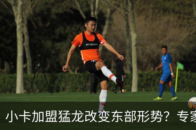 小卡加盟猛龙改变东部形势？专家称此队极具竞争力