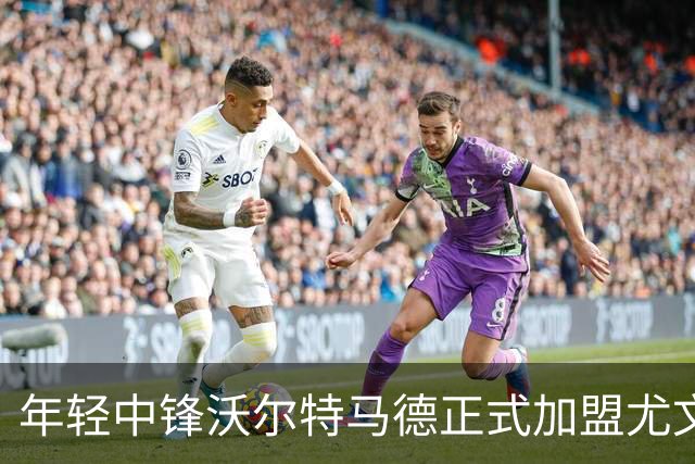 年轻中锋沃尔特马德正式加盟尤文图斯