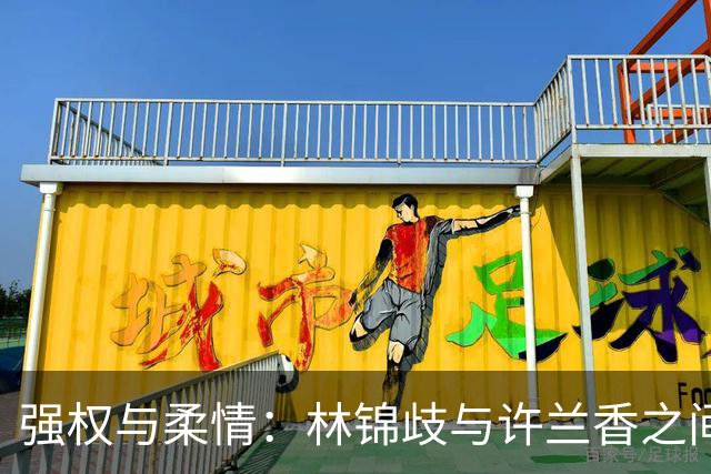 强权与柔情：林锦歧与许兰香之间的纠葛