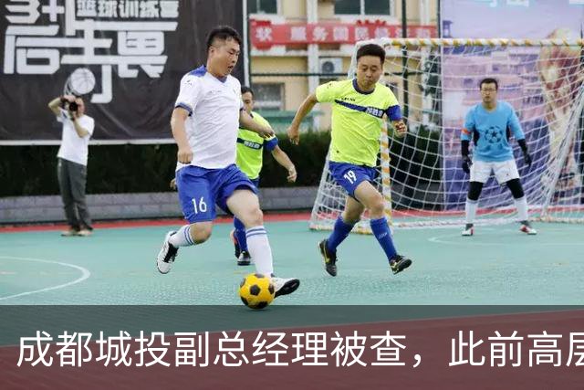 成都城投副总经理被查，此前高层亦遭问责