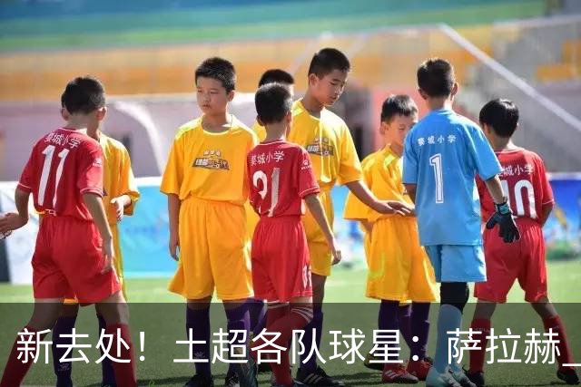 新去处！土超各队球星：萨拉赫 青木 DV9 坎特 特罗萨德 萨内...