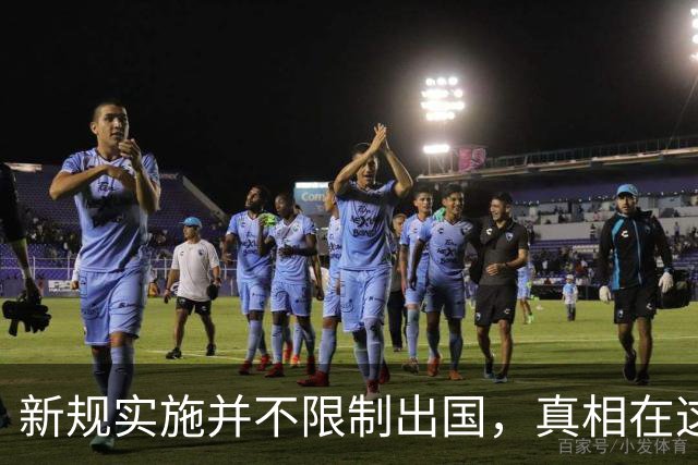 新规实施并不限制出国，真相在这里！