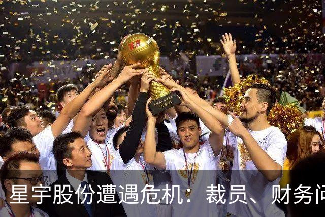 星宇股份遭遇危机：裁员、财务问题与监管挑战