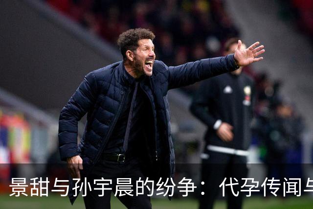 景甜与孙宇晨的纷争：代孕传闻与三千万官司