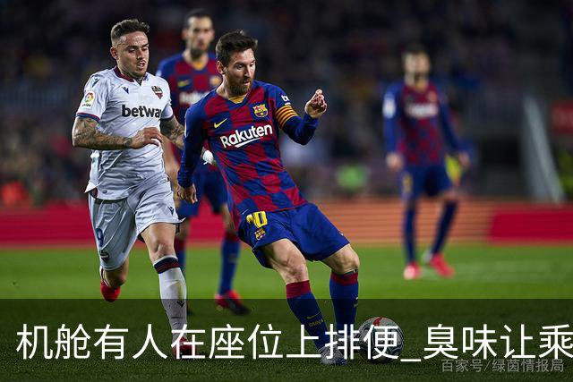 机舱有人在座位上排便 臭味让乘客崩溃
