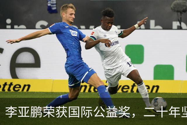 李亚鹏荣获国际公益奖，二十年坚守的付出得到了认可