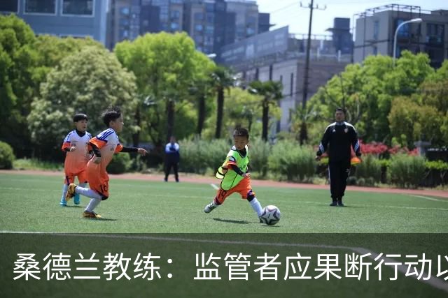 桑德兰教练：监管者应果断行动以维护英超价值