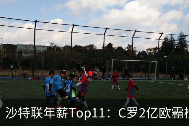 沙特联年薪Top11：C罗2亿欧霸榜，本泽马1.2亿，6人进入合同年