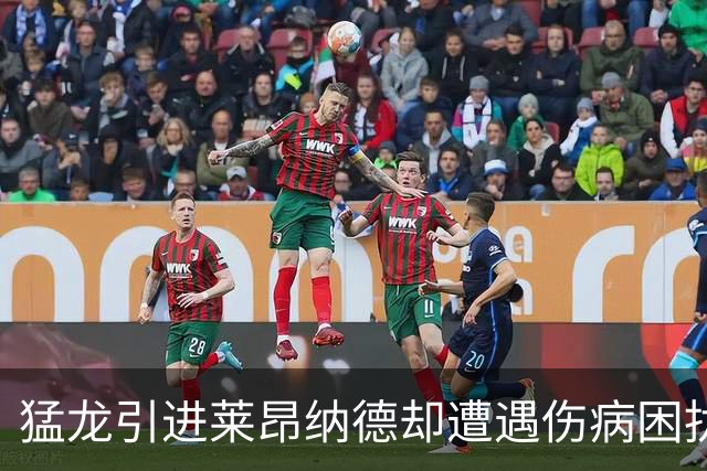 猛龙引进莱昂纳德却遭遇伤病困扰，或寻求再添老将后卫