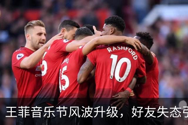 王菲音乐节风波升级，好友失态引发舆论热议