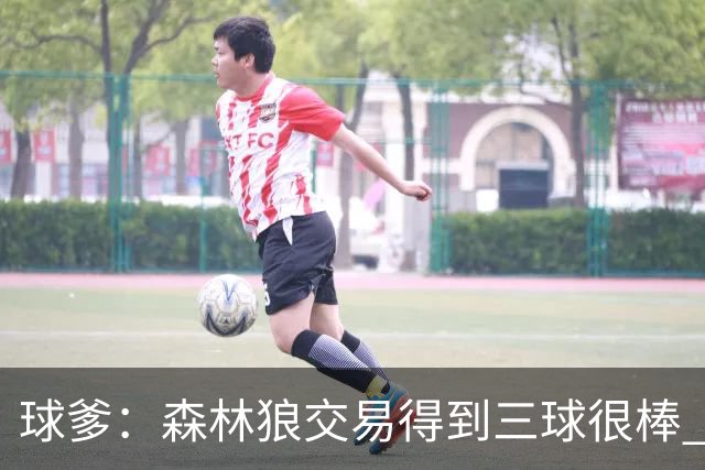 球爹：森林狼交易得到三球很棒 再签大球和二球就稳冠了！