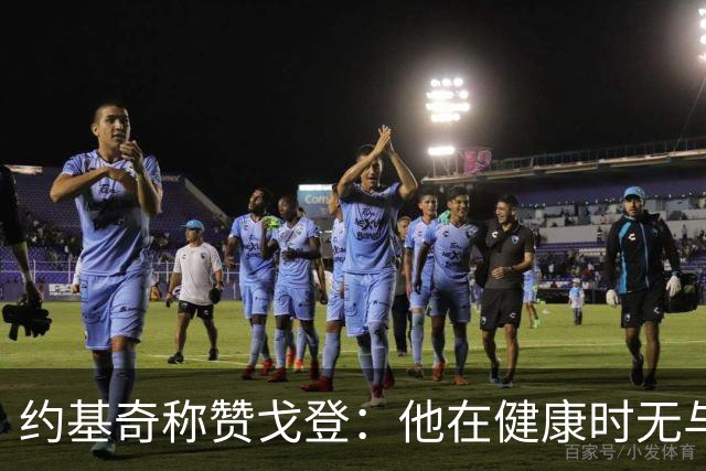 约基奇称赞戈登：他在健康时无与伦比