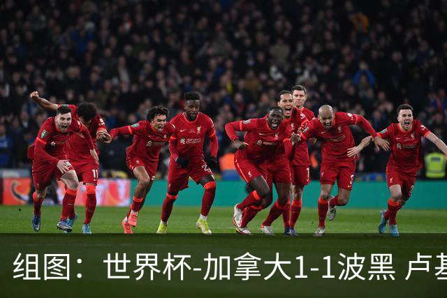组图：世界杯-加拿大1-1波黑 卢基奇头球拉林扳平