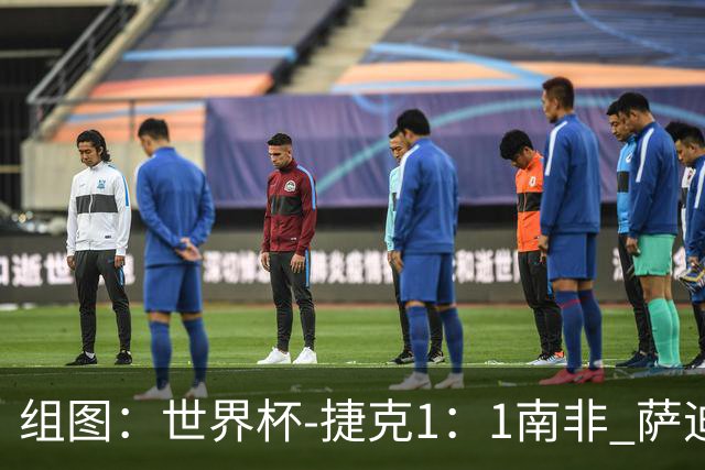 组图：世界杯-捷克1：1南非 萨迪莱克闪袭莫科纳点射扳平
