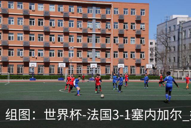 组图：世界杯-法国3-1塞内加尔 姆巴佩梅开二度