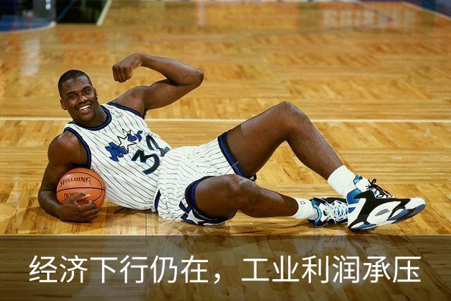 经济下行仍在，工业利润承压