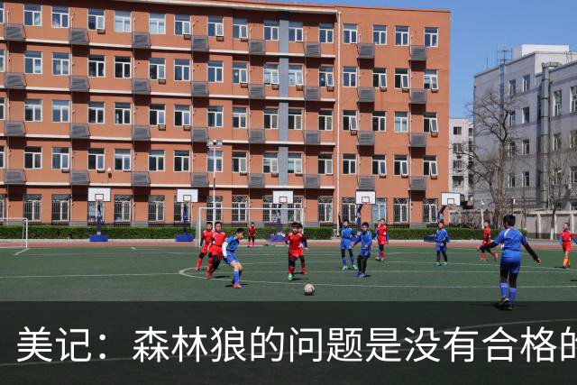 美记：森林狼的问题是没有合格的首发大前 麦丹该打3而不是4