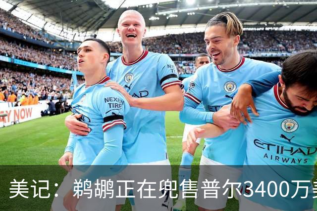 美记：鹈鹕正在兜售普尔3400万美元到期合同 想引进即战力