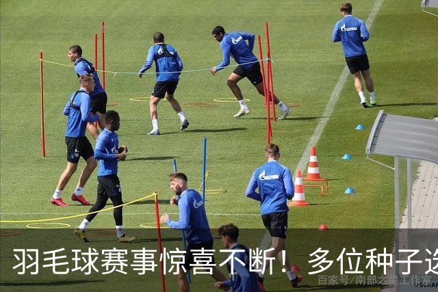 羽毛球赛事惊喜不断！多位种子选手意外出局，国羽混双迎利好局面