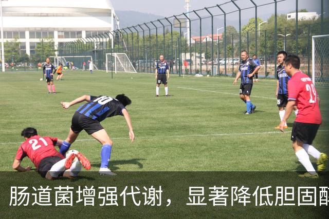 肠道菌增强代谢，显著降低胆固醇和血糖