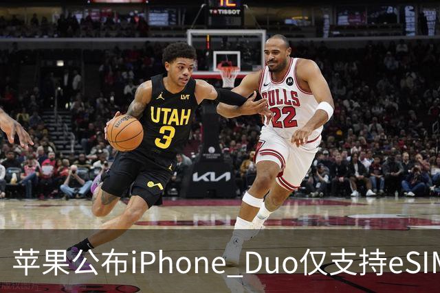 苹果公布iPhone Duo仅支持eSIM卡，运营商回应各异