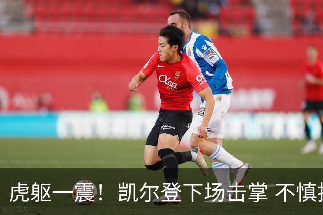 虎躯一震！凯尔登下场击掌 不慎抓到福克斯敏感部位🐔