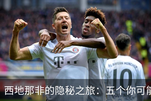 西地那非的隐秘之旅：五个你可能不知道的效应