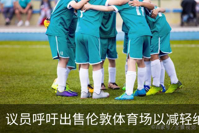 议员呼吁出售伦敦体育场以减轻纳税人负担