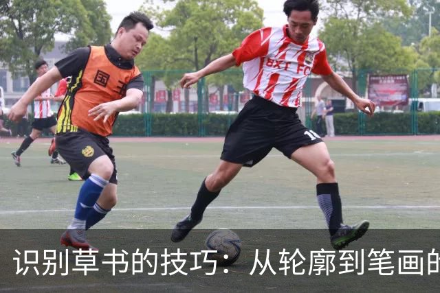 识别草书的技巧：从轮廓到笔画的逐步分析
