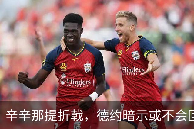 辛辛那提折戟，德约暗示或不会回归