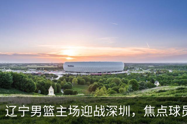 辽宁男篮主场迎战深圳，焦点球员动态发布