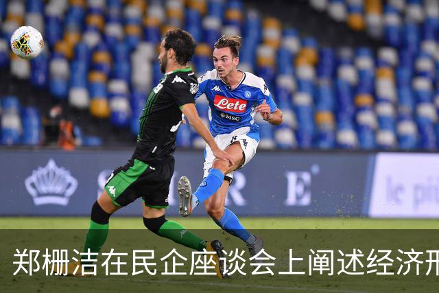 郑栅洁在民企座谈会上阐述经济形势与发展方向