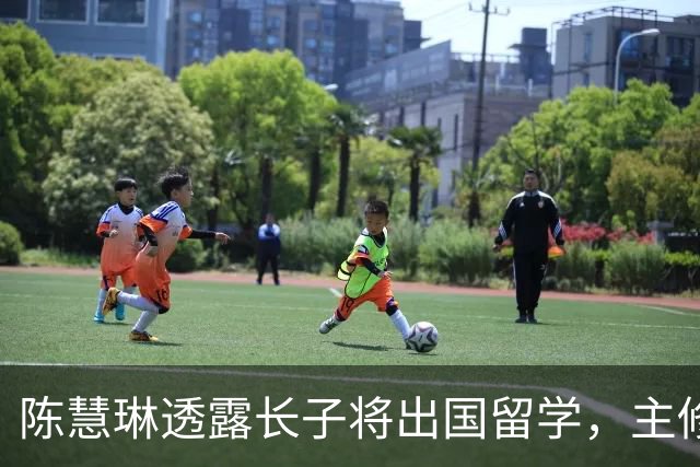 陈慧琳透露长子将出国留学，主修心理学身高超父亲