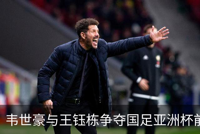 韦世豪与王钰栋争夺国足亚洲杯前锋位置