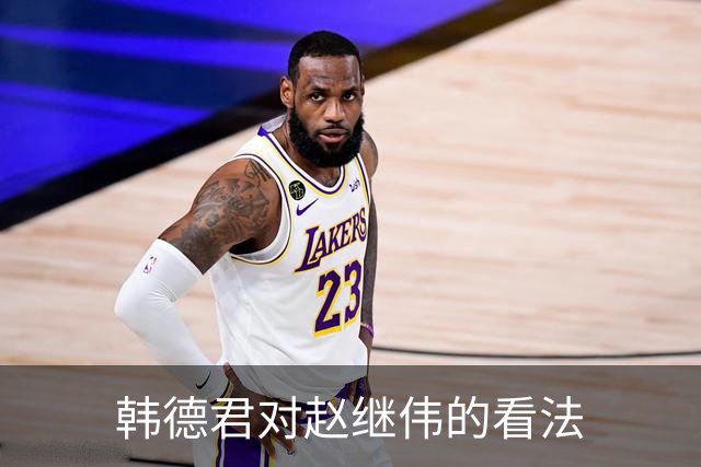 韩德君对赵继伟的看法